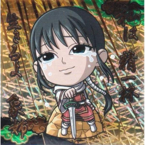 【[ホロ＆箔押し仕様] 3-35 羌カイ (SEC シークレット) 】にふぉるめーしょん キングダム...