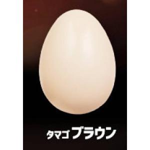 【タマゴブラウン】 だまることを知らないチキンやろう3の商品画像