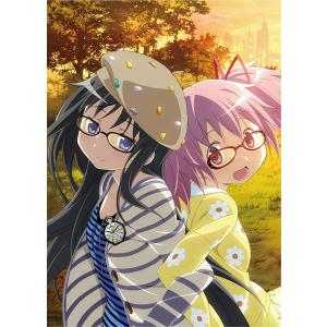 ANIPLEX（アニプレックス） ビルディバイド ブライト ブースターパック