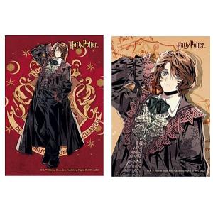 14.ハーマイオニー・グレンジャー＆ロン・ウィーズリー】ハリー