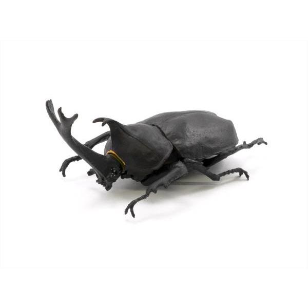 【カブトムシ（黒）】昆虫ハンター