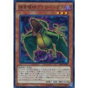 【パラレル/箔押しサイン】ビルディバイドTCG D-B16-03SC 影装の羅刹 ライル (SC シークレット) ブースターパック第１６弾 永劫への回帰 Amazon.co.jp: ビルディバイドTCG D-B16-84N 精神統一 (パラレル