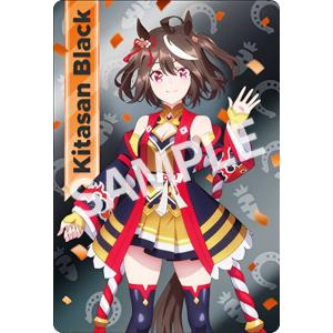 原神 雷電将軍 メタルカード 30枚 28.雷電将軍＆八重神子】原神 メタルカードコレクション2