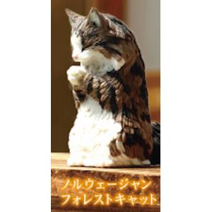 リロ-さいこうにすごい探検家(エンチャンテッド)(238/204) ディズニー