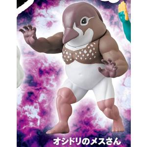 【オシドリのメスさん】ガチムチ鳥6｜lead-netstore