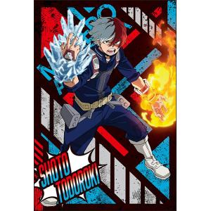 21.轟焦凍 (ノーマル) 】 僕のヒーローアカデミア ぱしゃこれ