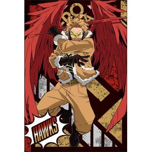 僕のヒーローアカデミア　ヒロアカ展　クリアカード　ホークス Amazon.co.jp: ヒロアカ 原画展 クリアカード ホークス : Toys