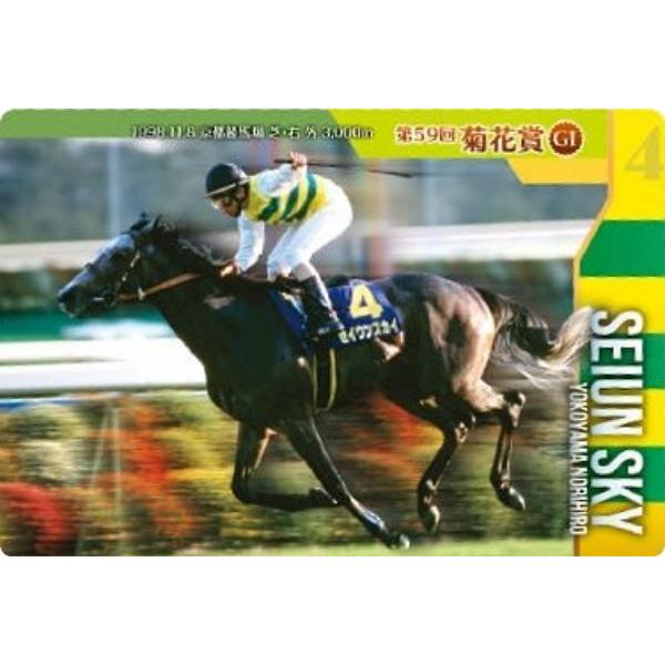 【No.4-005 セイウンスカイ 第59回菊花賞(GI)】サラブレッドホースコレクション ツインウ...