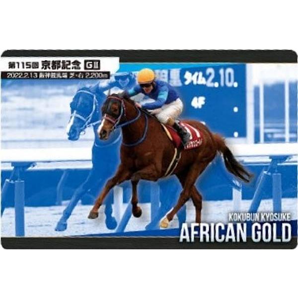 【No.4-021 アフリカンゴールド 第115回京都記念(GII)】サラブレッドホースコレクション...