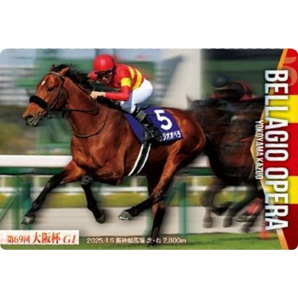 【No.4-024 ベラジオオペラ 第69回大阪杯(GI)】サラブレッドホースコレクション ツインウ...
