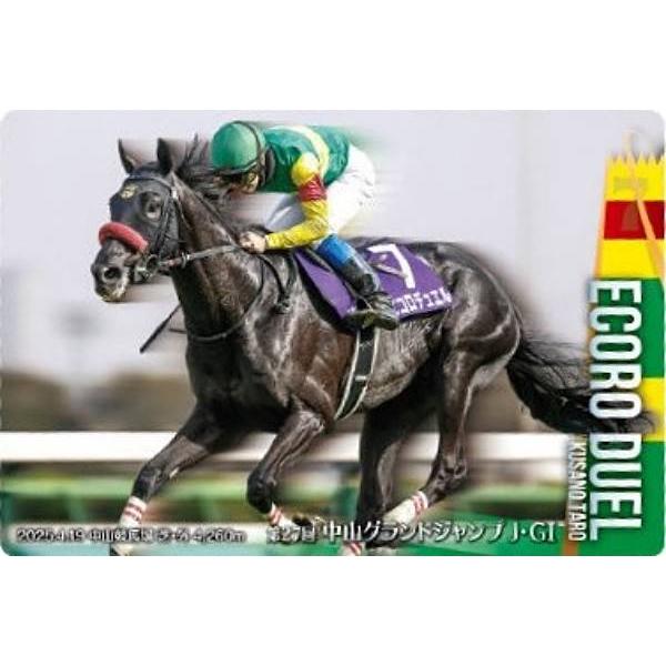【No.4-025 エコロデュエル 第27回中山グランドジャンプ(J・GI)】サラブレッドホースコレ...