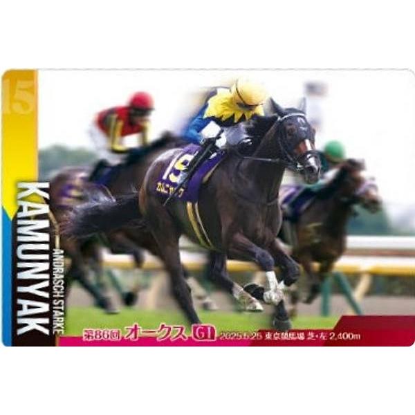 【No.4-028 カムニャック 第86回優駿牝馬(GI)】サラブレッドホースコレクション ツインウ...
