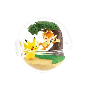 ポケモンカードゲーム 290/S-P ゼニガメ (PROMO プロモ) 強化拡張