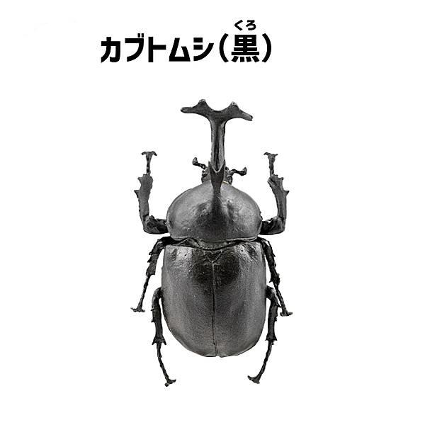 【カブトムシ(黒)】昆虫ハンター カブトムシ×クワガタ