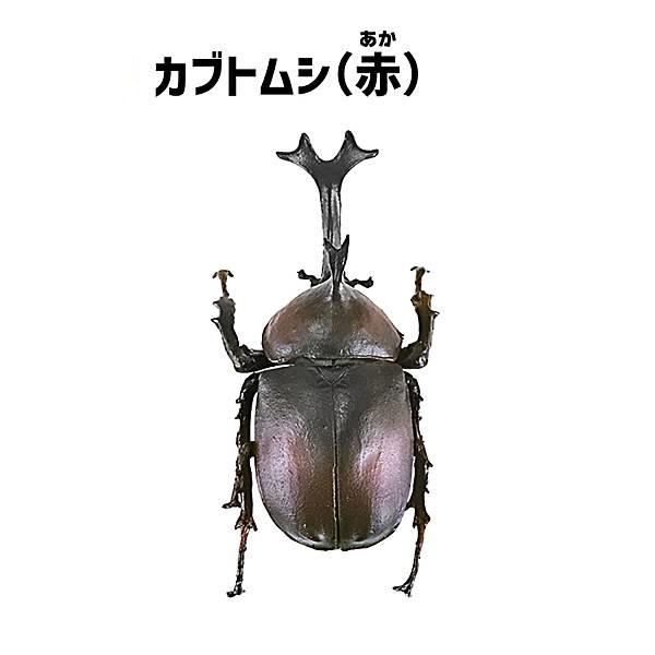 【カブトムシ(赤)】昆虫ハンター カブトムシ×クワガタ