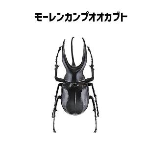 オウゴンオニクワガタ】 甲虫王者ムシキング ANNIVERSARY 20th ムシ