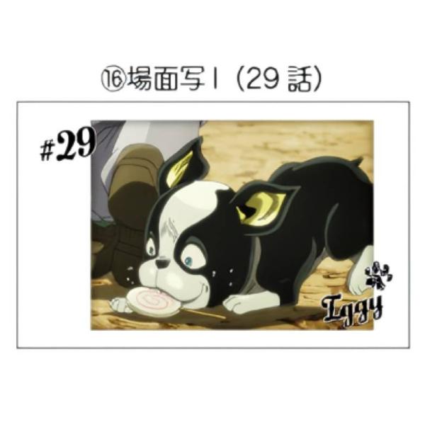 【JS-16 イギー/場面写I（29話）】 キャラポトレ ジョジョの奇妙な冒険 スターダストクルセイ...