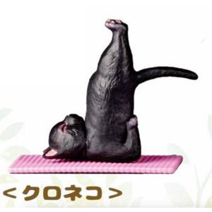 大熊まい先生 プレイマット 直筆サイン入り 大熊まい先生 プレイマット 直筆サイン入り 大熊まい先生 プレイマット