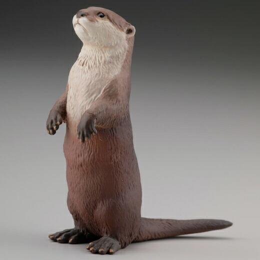 【コツメカワウソ Aonyx cinerea 原型製作：菅谷中】カプセルQミュージアム WILD R...