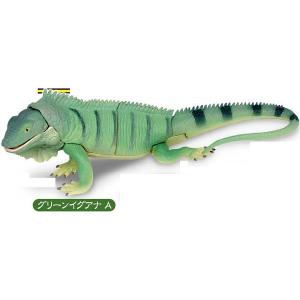 タランドゥスツヤクワガタ】 甲虫王者ムシキング ANNIVERSARY 20th