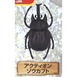 2004 Ver.】1/12 甲虫王者ムシキング(TM) : トレカショップ LEAD