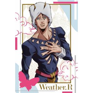 ジョジョの奇妙な冒険　メモリアルカード　花京院典明 ジョジョの奇妙な冒険 メモリアルカード 花京院典明 Amazon.co