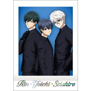 ブルーロック 黒ねこ意匠 キーホルダー 潔世一 凪誠士郎 糸師冴 糸師凛 Amazon.co.jp: ブルーロック キーホルダー 6個セット 凪誠士郎
