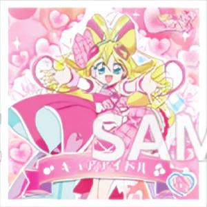 【14 キュアアイドル (N ノーマルシール) 】 キミとアイドルプリキュア♪ プリキラシールコレクション