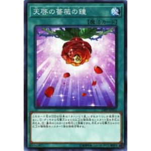 遊戯王 DOOD-JP039 黒薔薇の破滅竜 (日本語版 ウルトラレア) ドゥーム