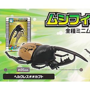 ムシキング 次世代WHF限定 タランドゥスツヤクワガタ タランドゥスツヤクワガタ】 甲虫王者ムシキング ANNIVERSARY