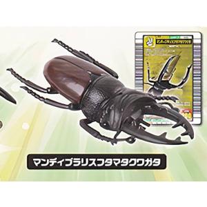 【希少美品】　タランドゥスツヤクワガタ　ムシキング 新品未開封 昆虫王者ムシキング ムシチップ タランドゥスツヤ