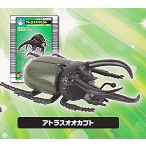 タランドゥスツヤクワガタ】 甲虫王者ムシキング ANNIVERSARY