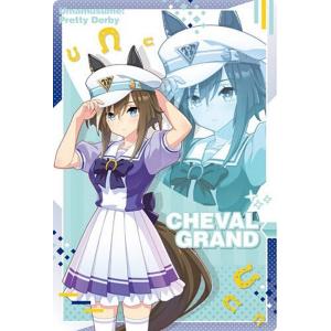 BANDAI ウマ娘 プリティーダービー ツインウエハース 第6R W6-11