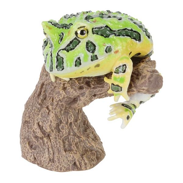 【ツノガエル（グリーン）】 いきもの大図鑑 指まきコレクション ツノガエルとアメフクラガエルとバジェ...