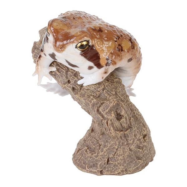 【アメフクラガエル】 いきもの大図鑑 指まきコレクション ツノガエルとアメフクラガエルとバジェットガ...