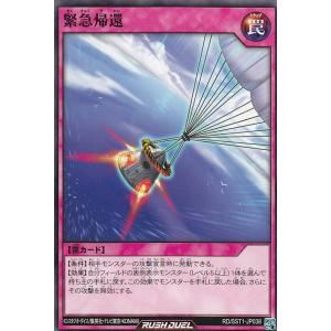 イラスト違い】遊戯王 ラッシュデュエル RD/KP18-JP048 エクス