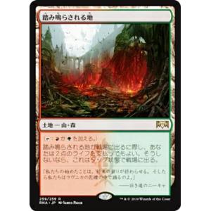 MTG イニストラード・リマスター コレクター・ブースター 英語版 BOX Amazon.co.jp: マジック：ザ・ギャザリング イニストラード・リ
