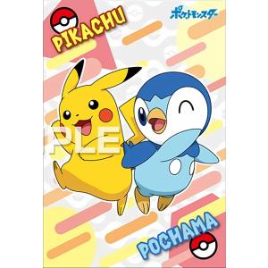 ポケモンカードゲーム 272/S-P ピカチュウ (PROMO プロモ) Pokemon GO