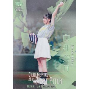 ビキニチェキ 杉原杏璃 黒ドット柄 : トレカショップ ファンクス