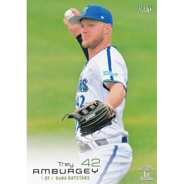 BBM ベースボールカード 211 Ｔ.アンバギー 横浜DeNAベイスターズ (レギュラーカード) ...