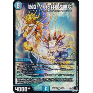 甲虫王者ムシキングまとめ売り120枚以上 2004 Ver.】1/12 甲虫王者ムシキング(TM) : トレカショップ LEAD
