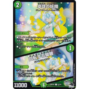 本格構築【4cゼーロ】デッキ＆3重スリーブ 《 闇王ゼーロ DARK