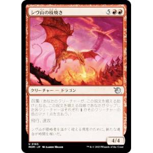 神河：輝ける世界 日本語版 ドラフト・ブースター MTG マジック：ザ