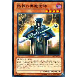 遊戯王 15AY-JPC19 熟練の黒魔術師(日本語版 ノーマル) : トレカ