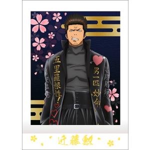 5.沖田総悟】 銀魂 ぱしゃこれ : トレカショップ LEAD. - 通販