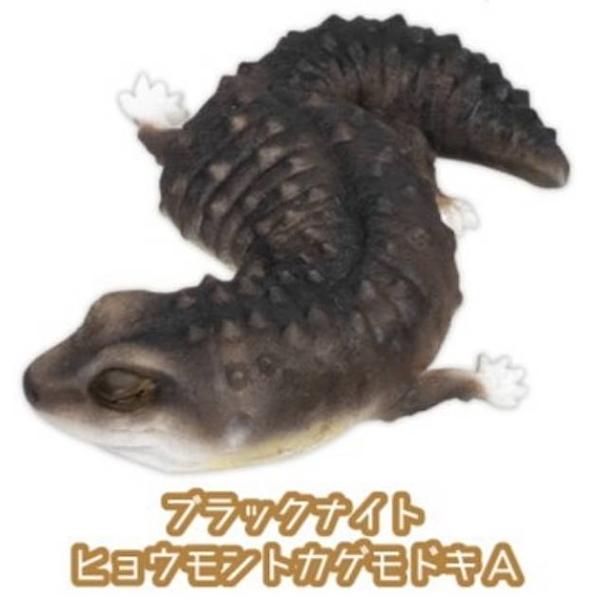 ヒョウモントカゲモドキ 販売