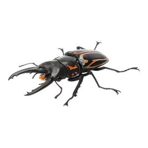 エラフスホソアカクワガタ（メタリックグリーン）】いきもの大図鑑