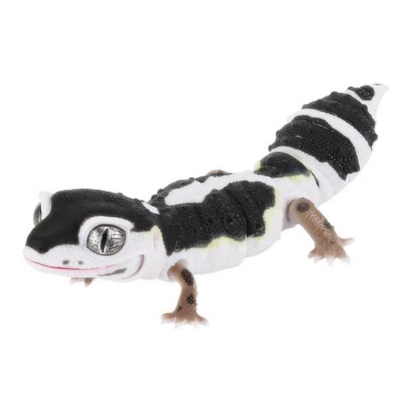 【レオパードゲッコー（スノーブラックナイト）】 いきもの大図鑑レプティ SELECTED EDITI...