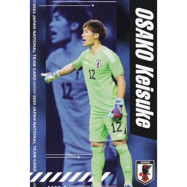 Ｊリーグチップス＆サッカー日本代表チームチップス reg-001 大迫敬介 サンフレッチェ広島 (レ...