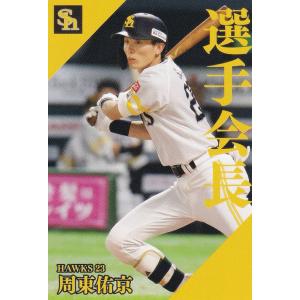 プロ野球チップス2001スペシャルカードセット12枚 カルビー2001 プロ野球チップス 第一弾 スペシャルカード No.SP